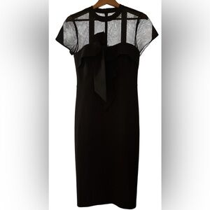 JS Collections Black Dress with Ruffle Detail, and a Sheer top
